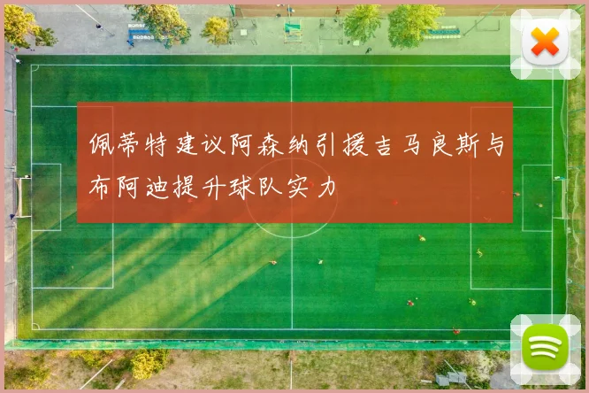 佩蒂特建议阿森纳引援吉马良斯与布阿迪提升球队实力